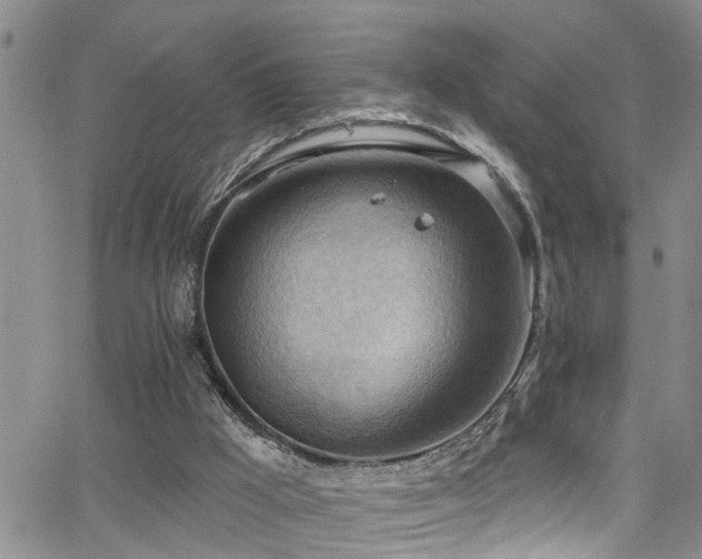 X0000063530009200601201510