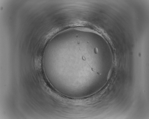 X0000063530010200601201510