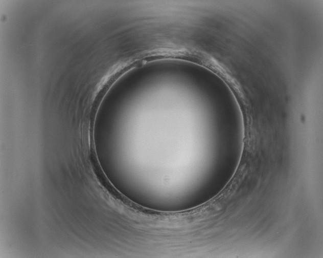 X0000063530011200601201510