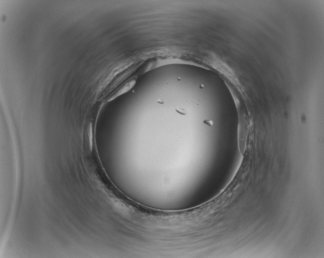 X0000063530013200601201510