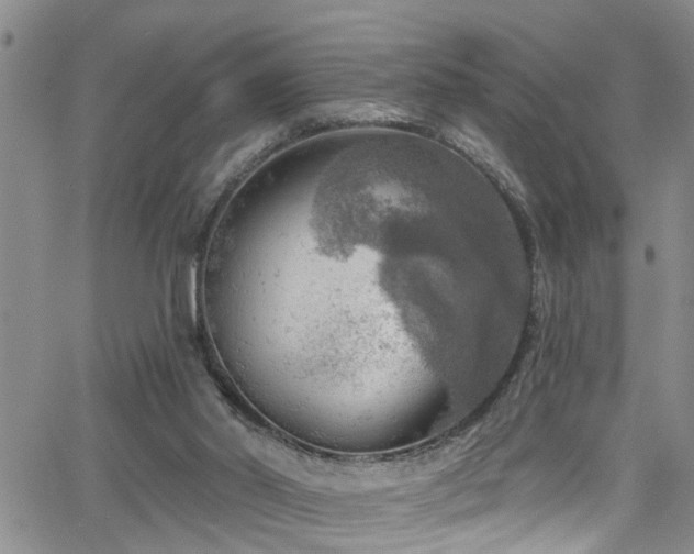 X0000063530014200601201510