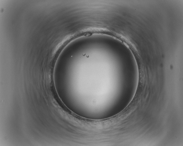 X0000063530015200601201510