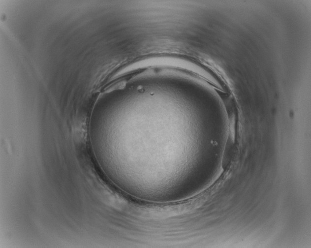 X0000063530017200601201509