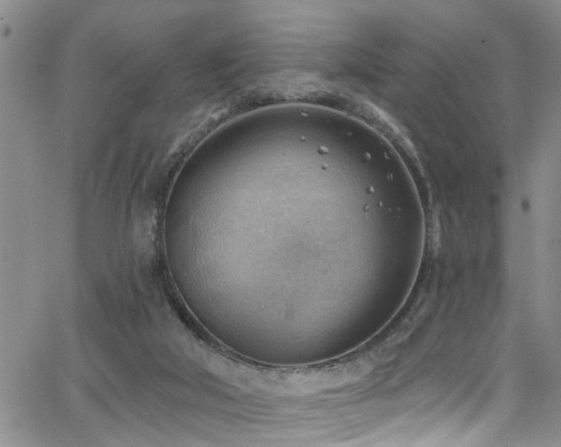 X0000063530018200601201509