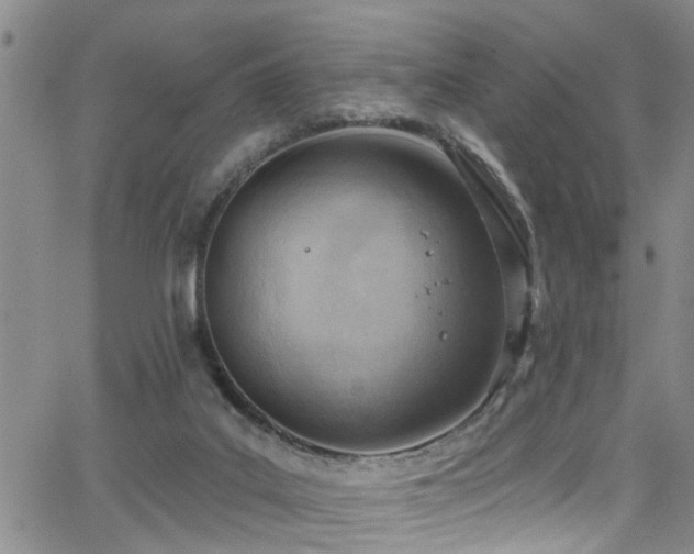 X0000063530019200601201509