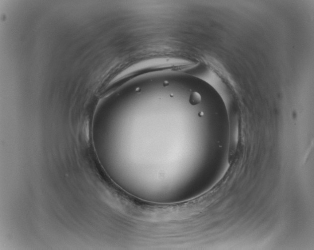 X0000063530021200601201509