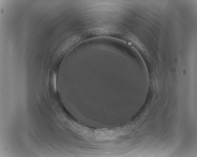 X0000063530022200601201509