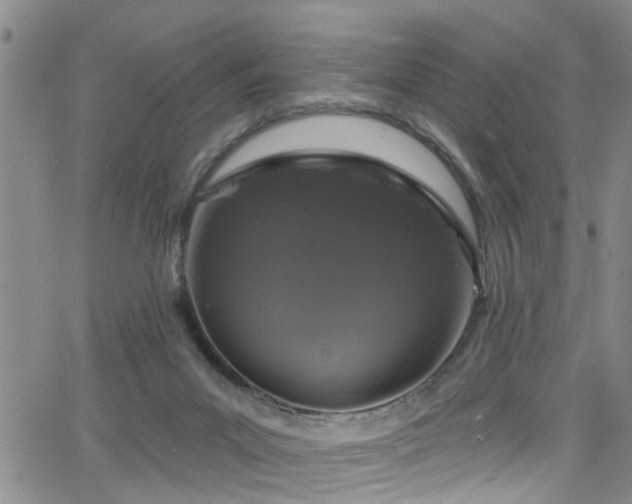 X0000063530023200601201509