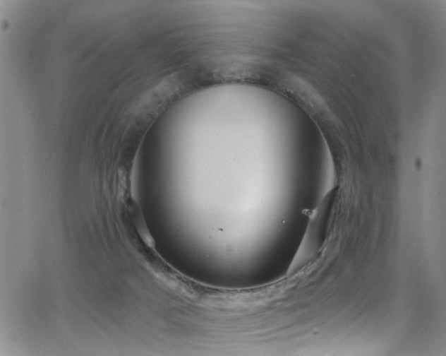 X0000063530025200601201509