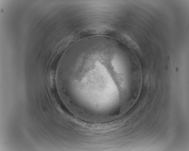 X0000063530026200601201509