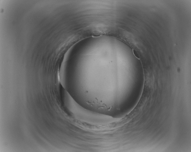 X0000063530027200601201509