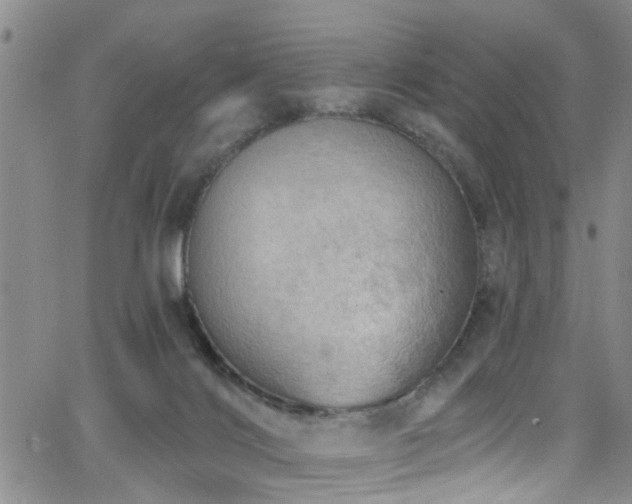 X0000063530028200601201509