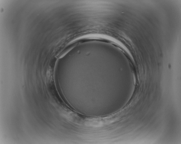 X0000063530029200601201509