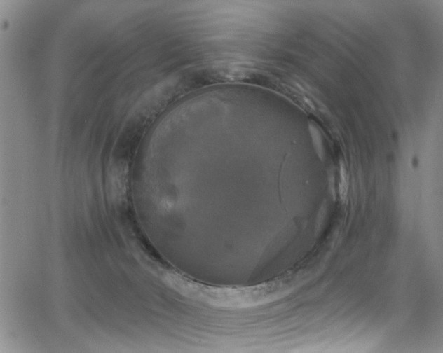 X0000063530030200601201509