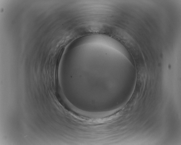 X0000063530031200601201509