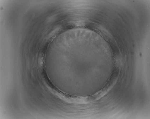 X0000063530032200601201509