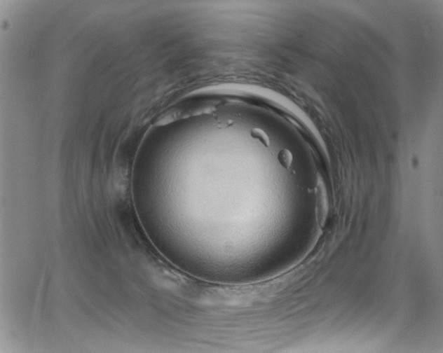 X0000063530033200601201509