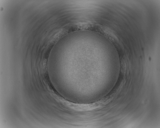 X0000063530034200601201509