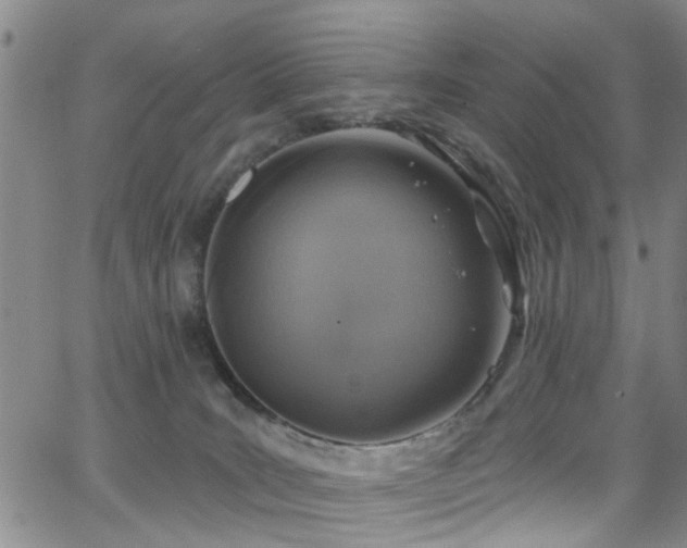 X0000063530035200601201509