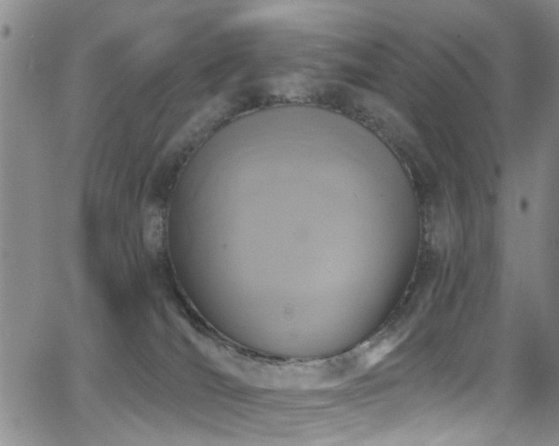 X0000063530036200601201509