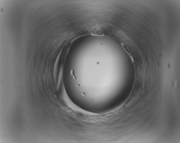 X0000063530037200601201509