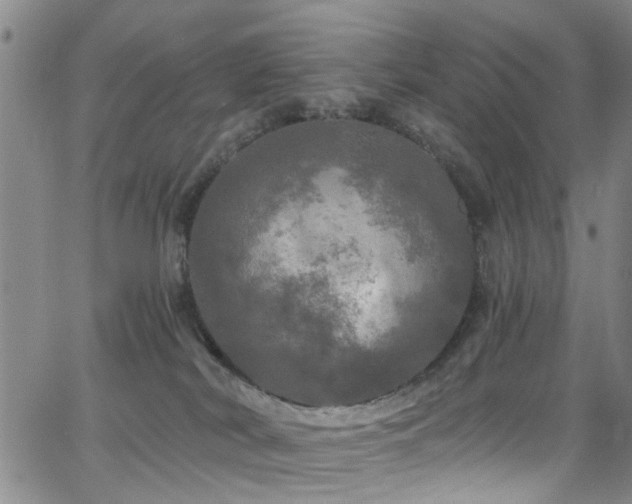 X0000063530038200601201509