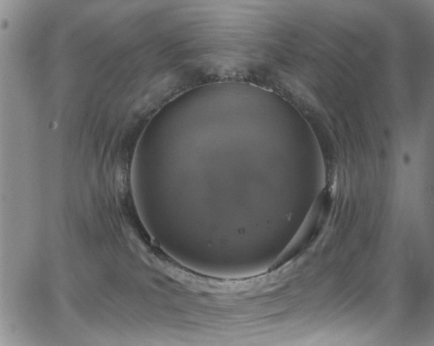 X0000063530039200601201509