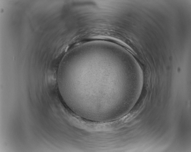 X0000063530040200601201509