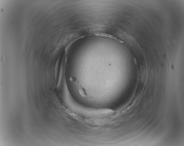 X0000063530041200601201509