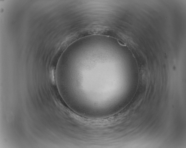 X0000063530042200601201509