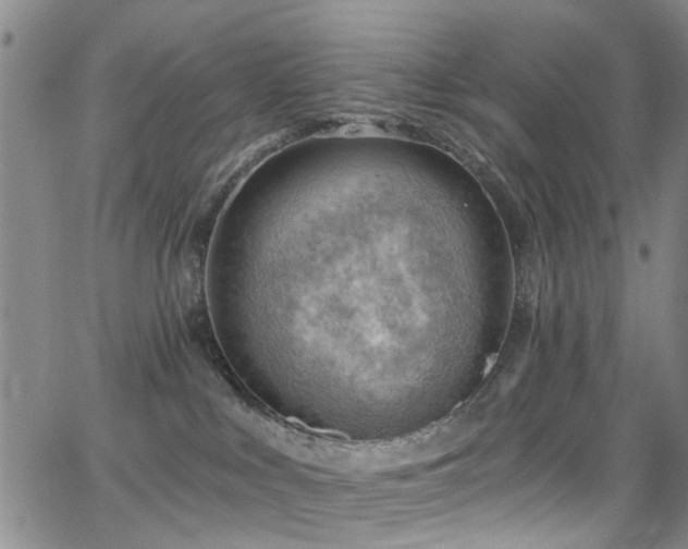 X0000063530043200601201509