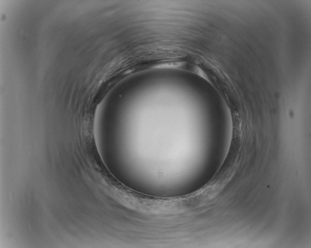 X0000063530044200601201509