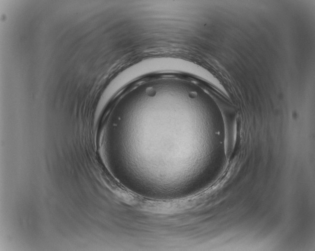 X0000063530045200601201509