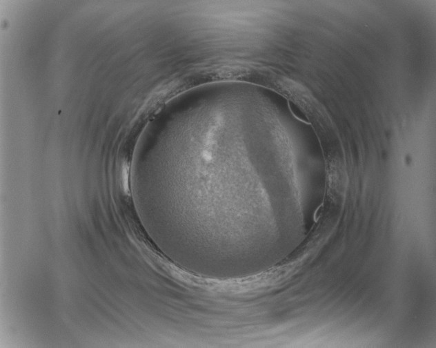 X0000063530046200601201509