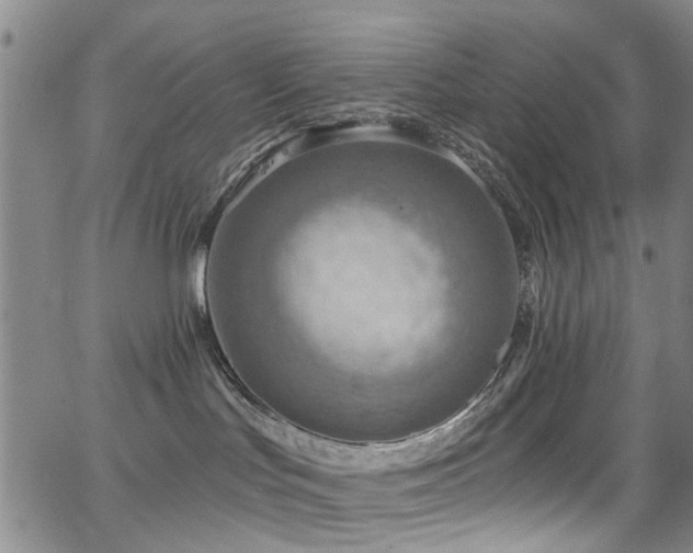 X0000063530047200601201509