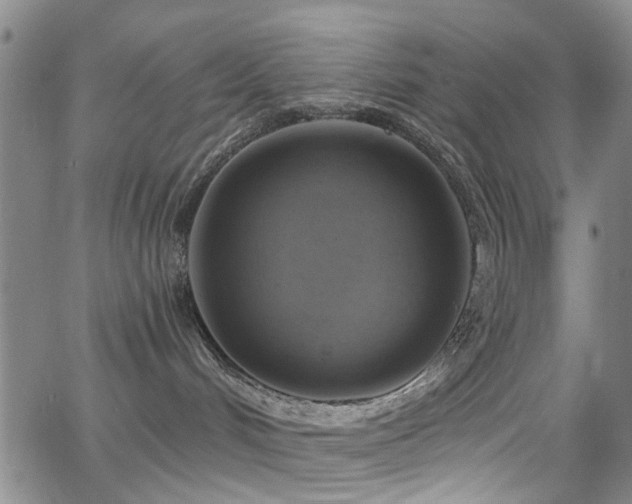 X0000063530048200601201509