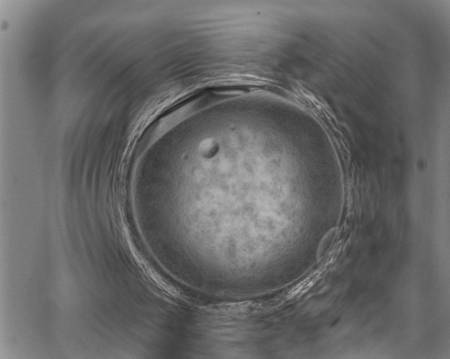 X0000063530049200601201508