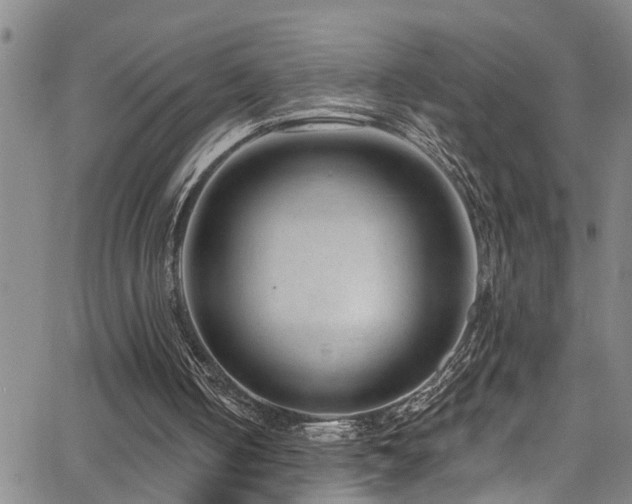 X0000063530050200601201508