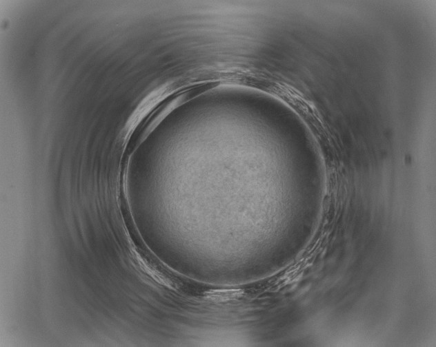 X0000063530051200601201508