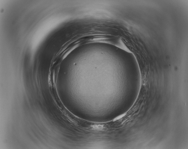 X0000063530052200601201508