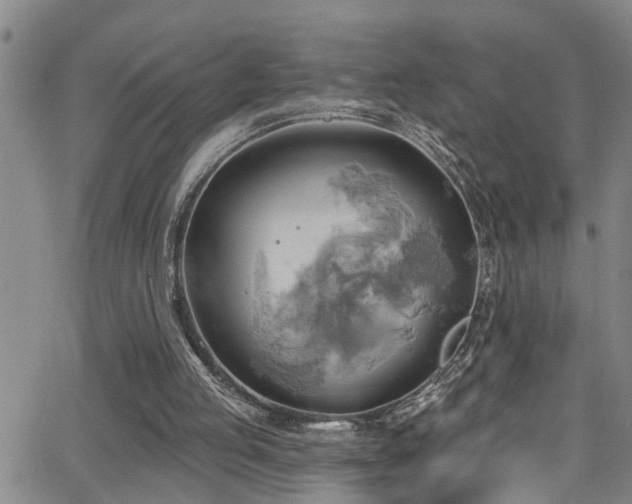 X0000063530053200601201508