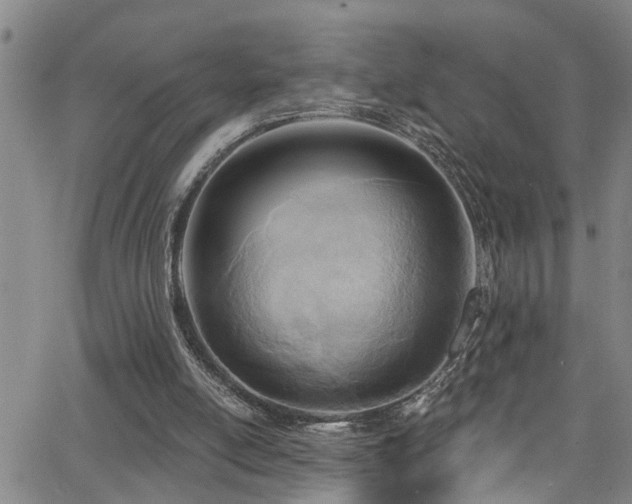 X0000063530054200601201508