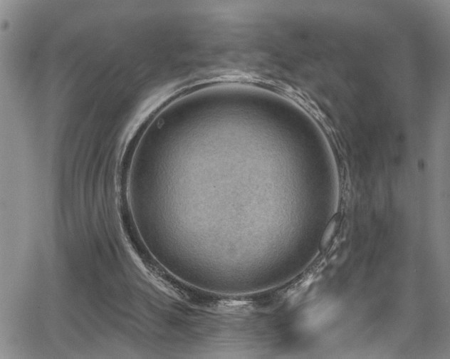 X0000063530055200601201508