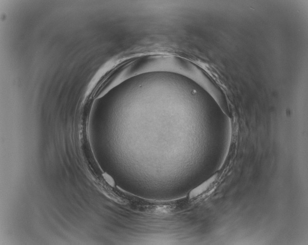 X0000063530056200601201508