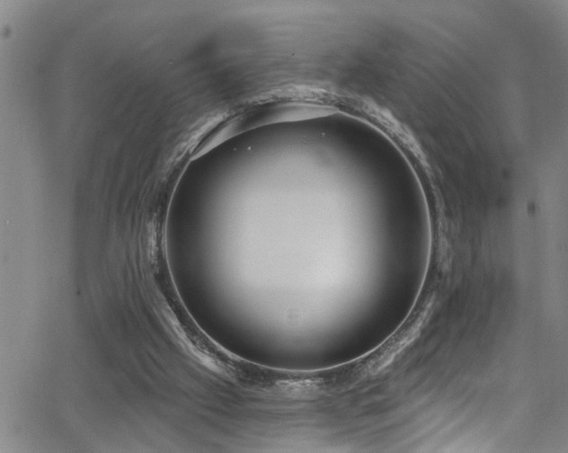 X0000063530057200601201508