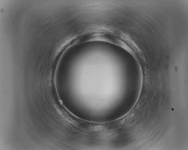 X0000063530058200601201508