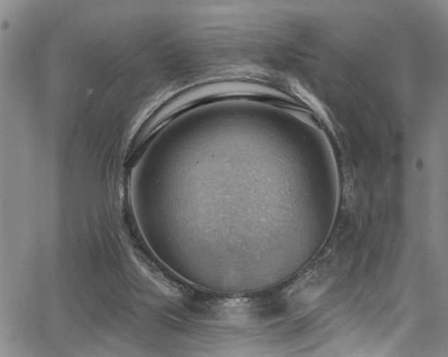 X0000063530059200601201508