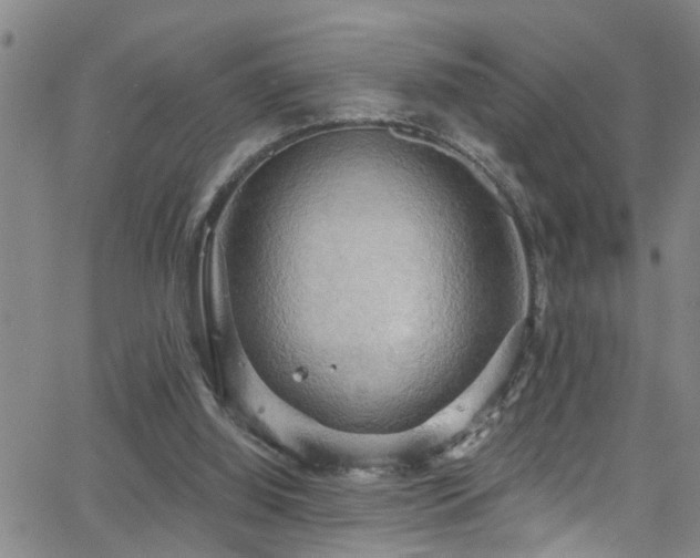 X0000063530060200601201508