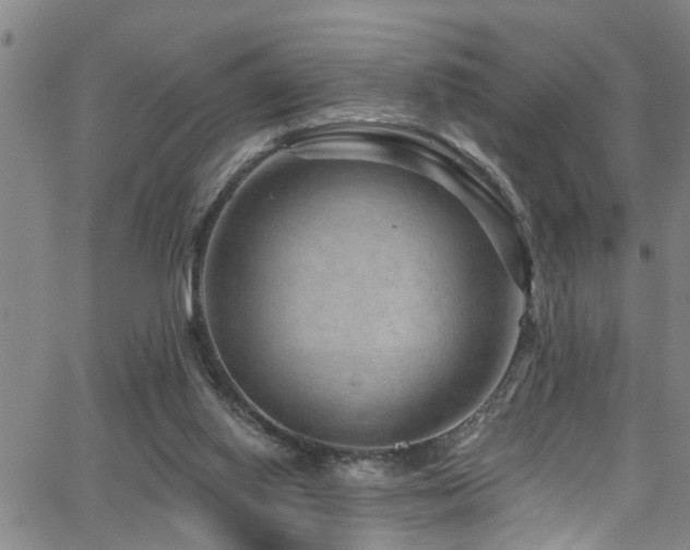 X0000063530062200601201508