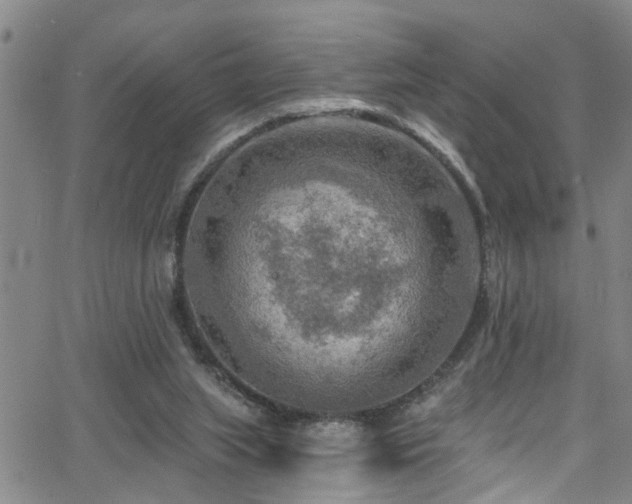 X0000063530063200601201508